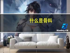 什么是骨料