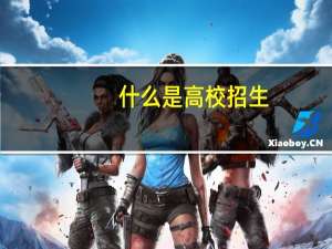 什么是高校招生