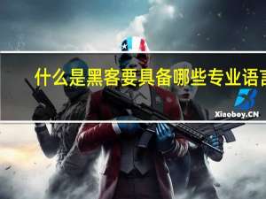 什么是黑客要具备哪些专业语言