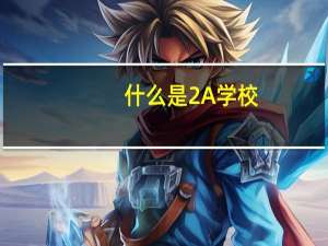 什么是2A学校