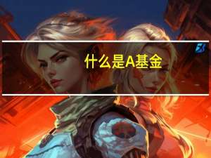 什么是A基金