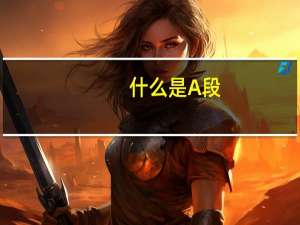什么是A段, B段, C段