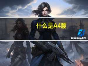 什么是A4腰