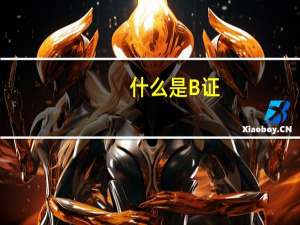 什么是B证
