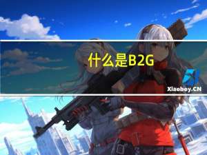 什么是B2G