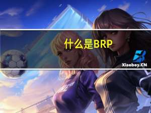 什么是BRP