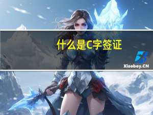 什么是C字签证