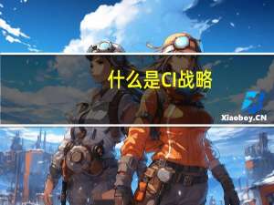 什么是CI战略