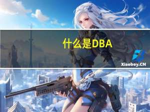 什么是DBA