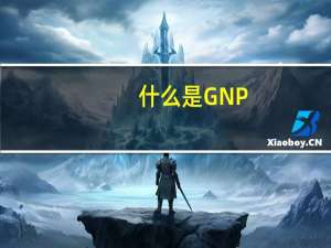 什么是GNP