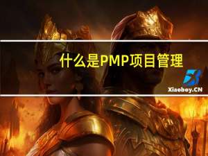 什么是PMP项目管理