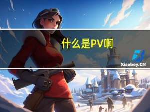 什么是PV啊