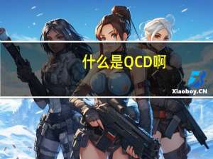 什么是QCD啊