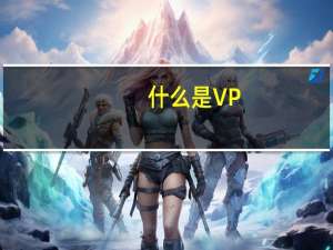 什么是VP