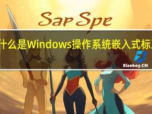什么是Windows操作系统嵌入式标准版七