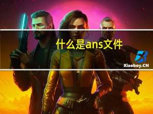 什么是ans文件