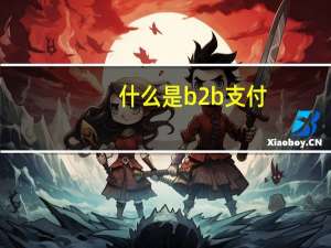 什么是b2b支付