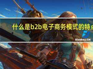 什么是b2b电子商务模式的特点