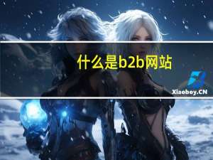 什么是b2b网站