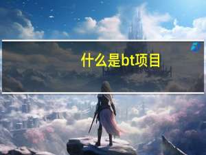 什么是bt项目