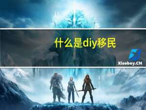 什么是diy移民