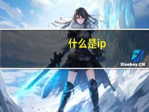 什么是ip