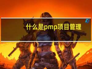 什么是pmp项目管理