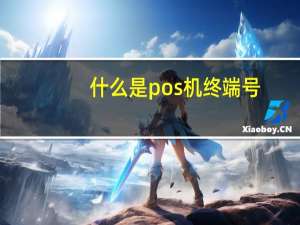 什么是pos机终端号