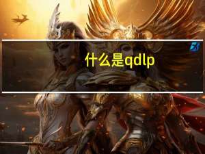 什么是qdlp