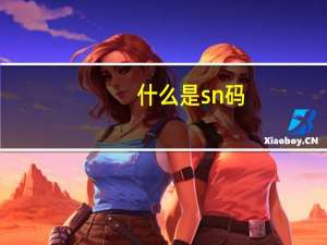 什么是sn码