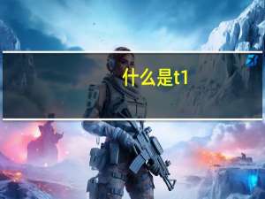 什么是t1