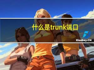 什么是trunk端口