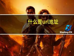 什么是url地址