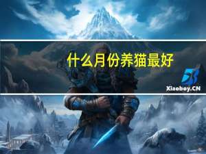 什么月份养猫最好