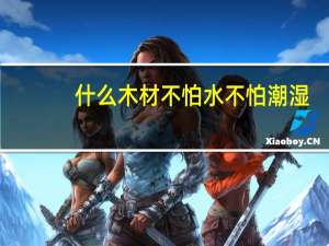 什么木材不怕水不怕潮湿