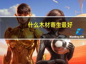 什么木材寄生最好