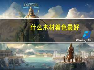 什么木材着色最好