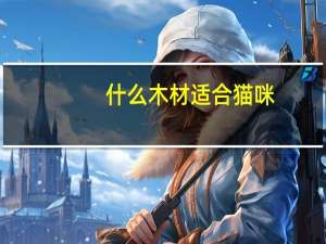 什么木材适合猫咪