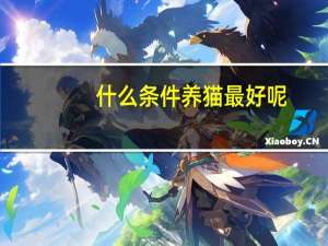 什么条件养猫最好呢