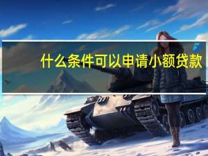 什么条件可以申请小额贷款（申请个小额贷款具备什么条件额度多少）