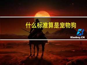 什么标准算是宠物狗