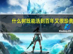 什么树既能活到百年又很珍贵