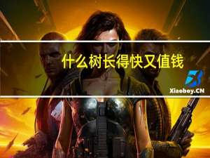 什么树长得快又值钱