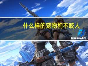什么样的宠物狗不咬人