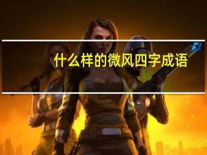 什么样的微风四字成语（什么样的微风）