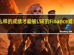 什么样的成绩才能被LSE的Finance或者AF录取