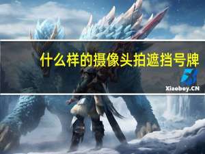 什么样的摄像头拍遮挡号牌