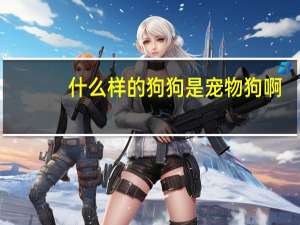 什么样的狗狗是宠物狗啊