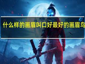 什么样的画眉叫口好 最好的画眉鸟图片