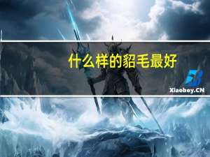 什么样的貂毛最好